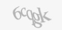 Защитный код