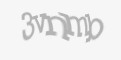 Защитный код
