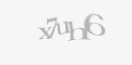 Защитный код